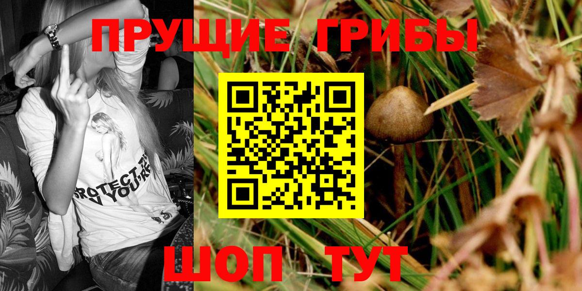 Псилоцибиновые грибы GOLDEN TEACHER Владимир