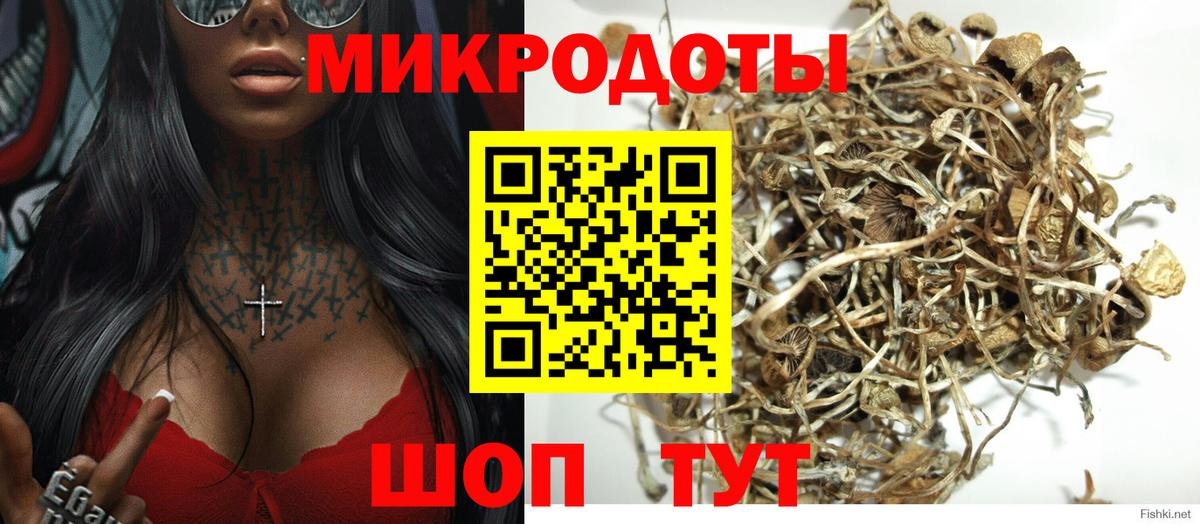 Псилоцибиновые грибы Cubensis  где купить наркоту  Владимир  Псилоцибиновые грибы ЛСД  Вход с VPN 